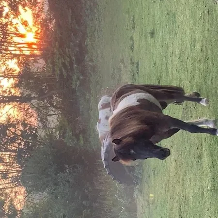 501 Meerzeit Grömitz