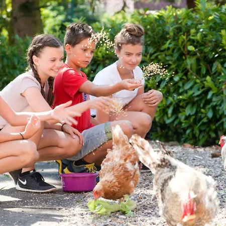 501 Meerzeit Appartement Grömitz