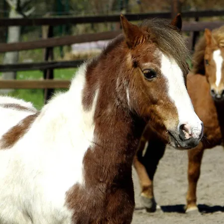 Appartement 501 Meerzeit *