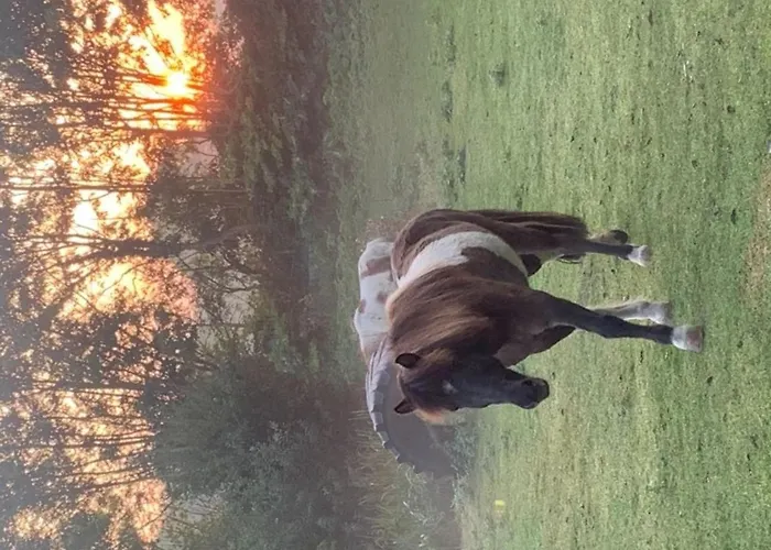 501 Meerzeit Grömitz