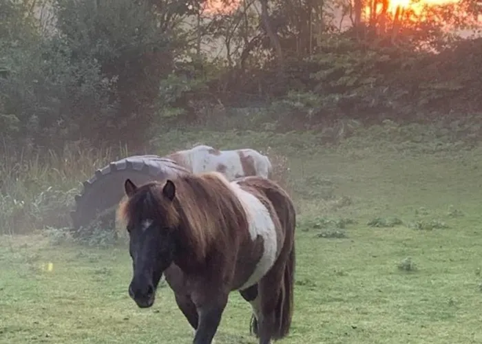 501 Meerzeit Grömitz