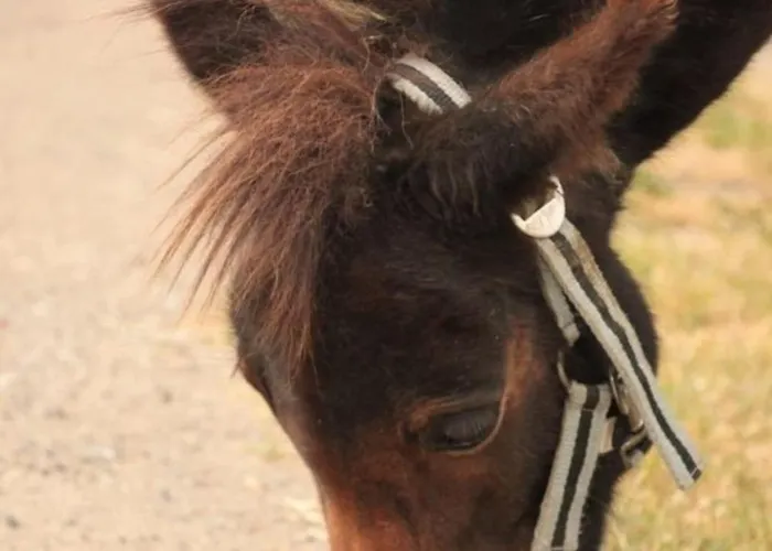 501 Meerzeit Grömitz