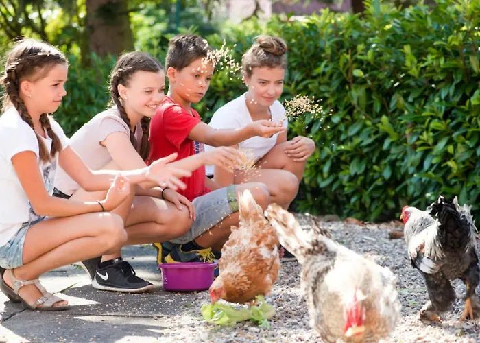 501 Meerzeit Appartement Grömitz