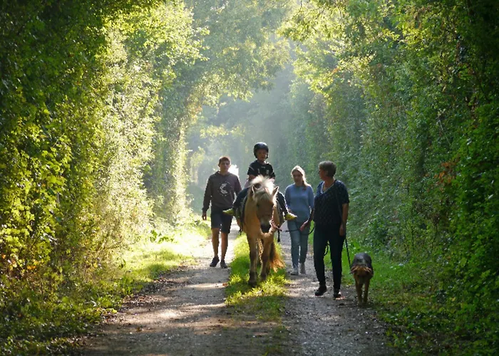 501 Meerzeit Appartement