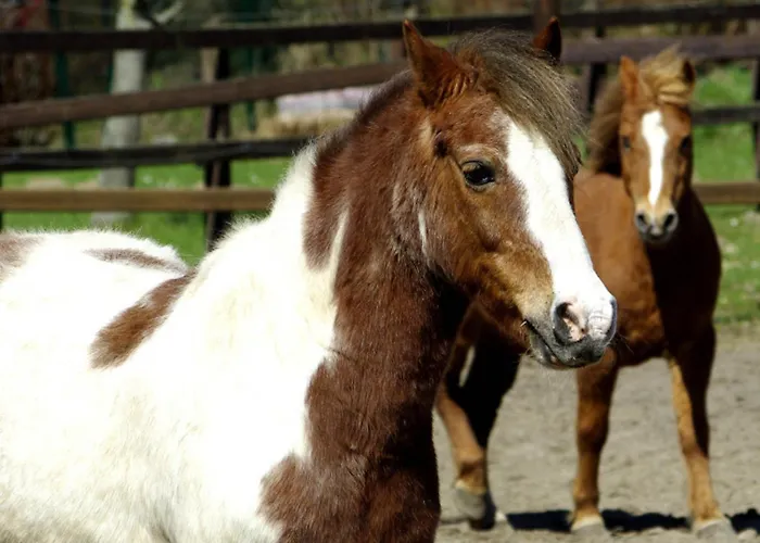 Appartement 501 Meerzeit *