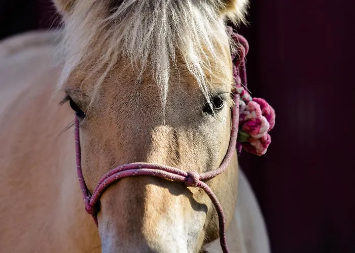501 Meerzeit Appartement