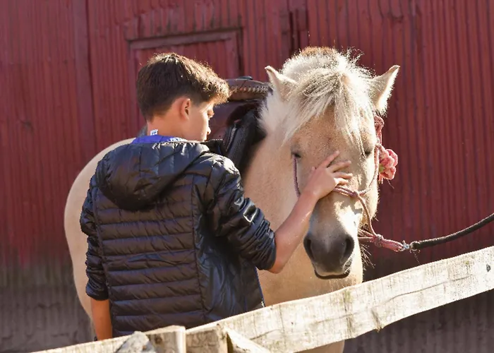 501 Meerzeit Appartement