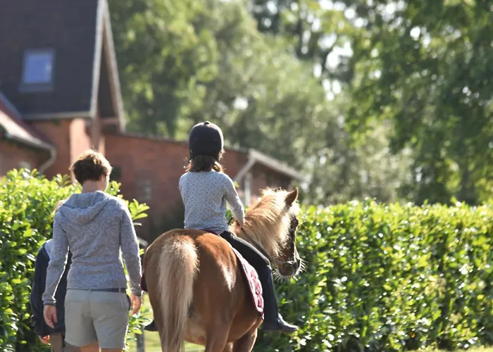 Appartement 501 Meerzeit