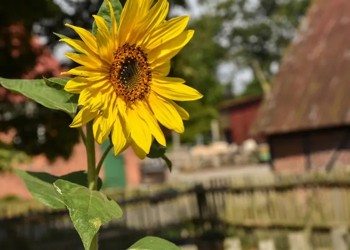 501 Meerzeit Grömitz