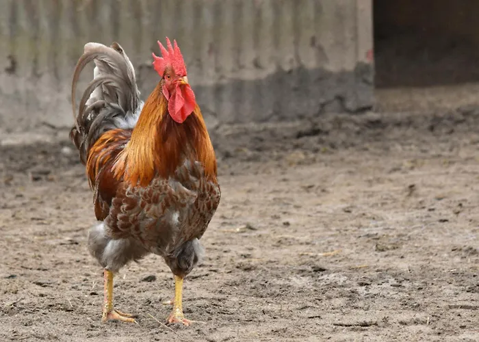 Appartement 501 Meerzeit Grömitz