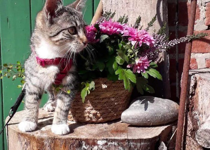 Appartement 501 Meerzeit